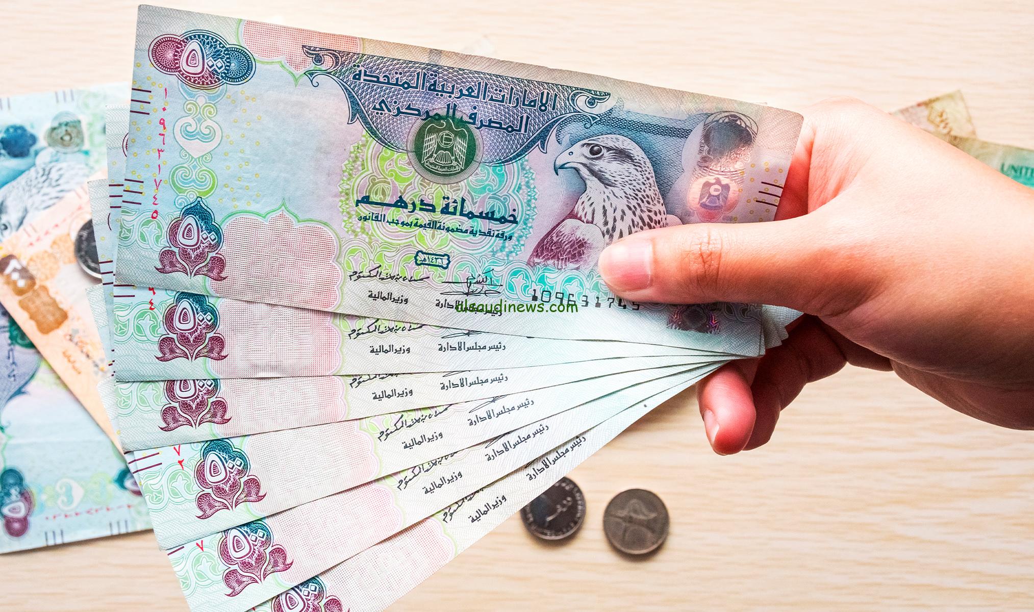 سعر الدرهم الإماراتي مقابل الجنيه المصري في البنوك اليوم الخميس 2 يناير 2025.. تحديث جديد