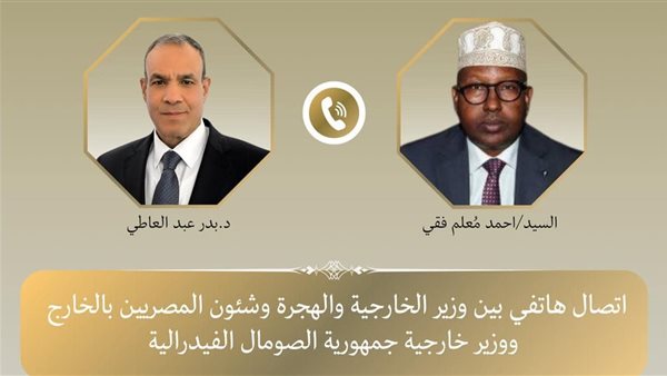 وزير الخارجية: مصر تدعم جهود الصومال لمكافحة الإرهاب واستعادة السلام