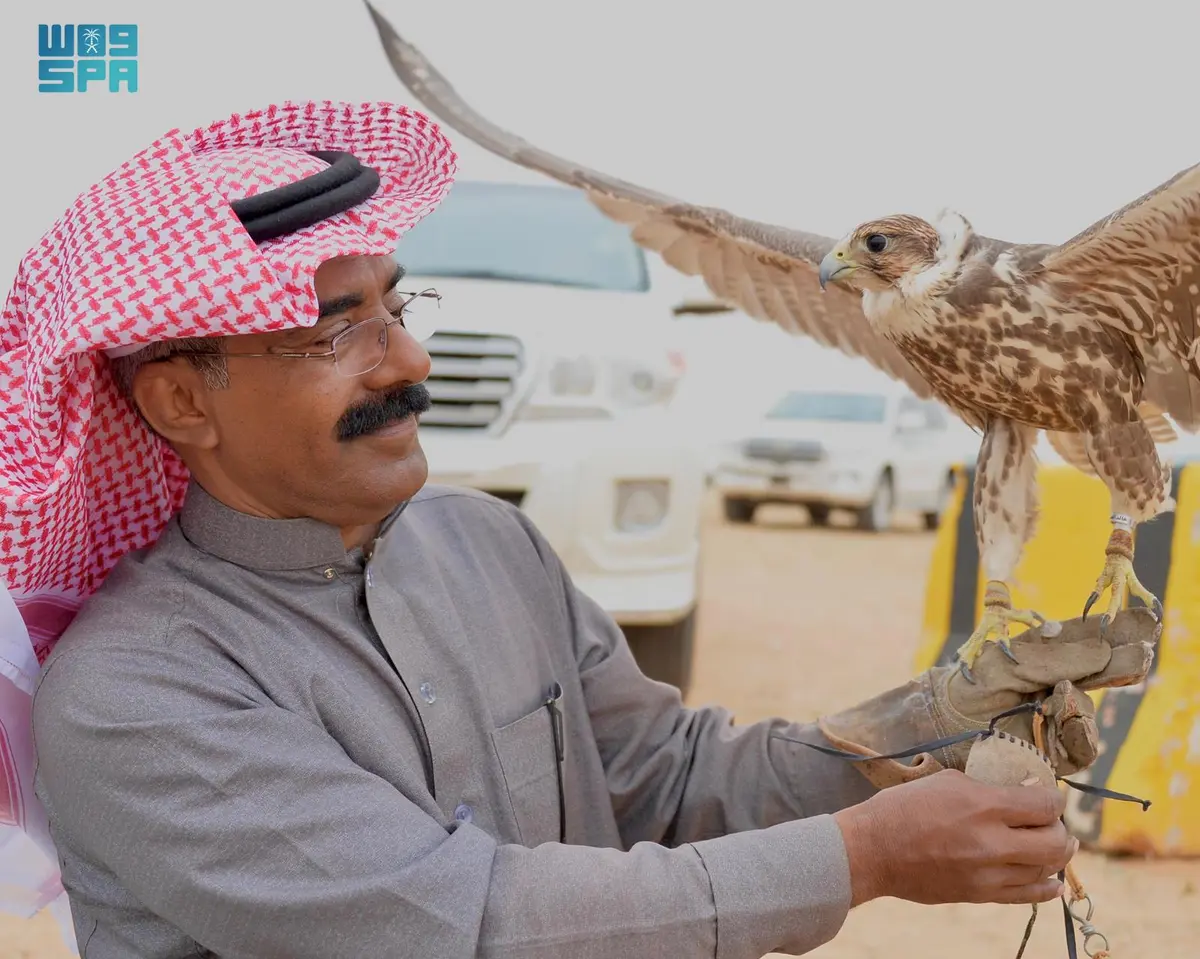 إقبال واسع على #مهرجان_الصقور بـ #القصيم وسط أجواء تنافسية حماسية