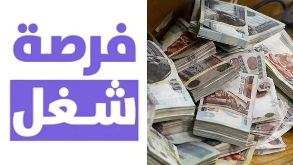 فرص عمل لا تفوّت .. وزارة الشباب والرياضة تعلن عن وظائف خالية في هذا المجال براتب يصل إلى 13 ألف جنيه بـ 11 محافظة