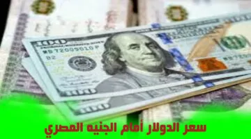 dollar vs egyptian pound