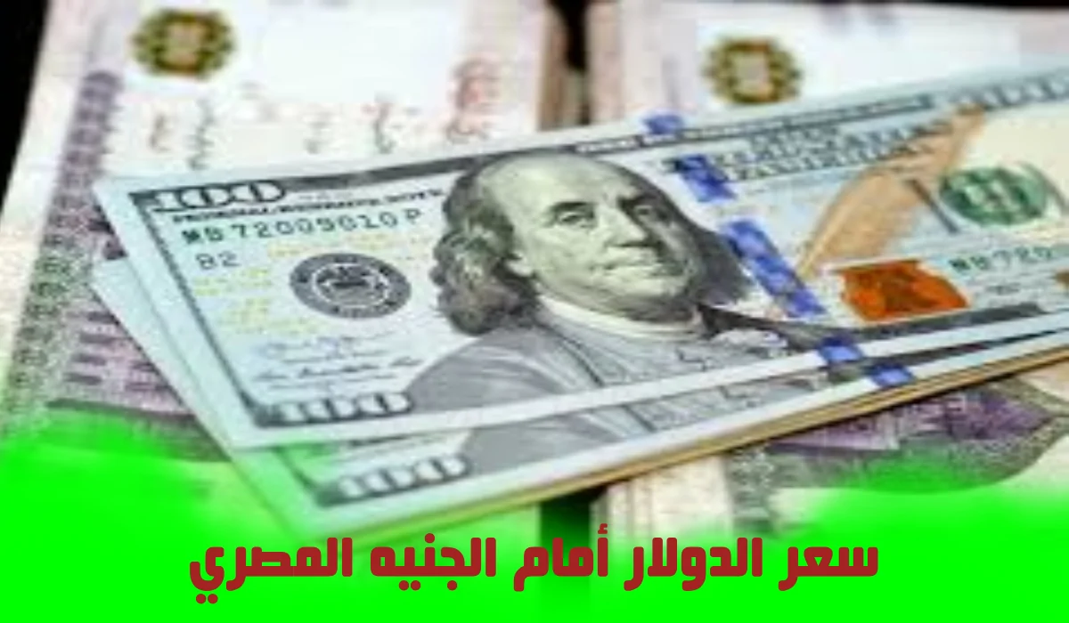 آخر تطورات سعر صرف الدولار مقابل الجنيه المصري في ختام تعاملات اليوم 18 مارس 2025