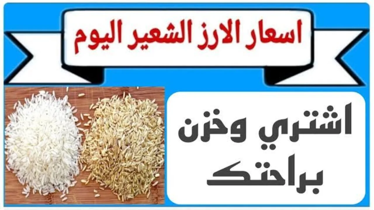 تعرف على سعر طن الأرز الشعير اليوم في مصر | أحدث أسعار الأرز الأبيض والشعير في الأسواق المصرية والعوامل المؤثرة على الأسعار لعام 2025